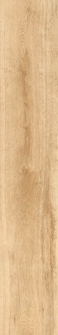 LATINA MIELE tile face 2
