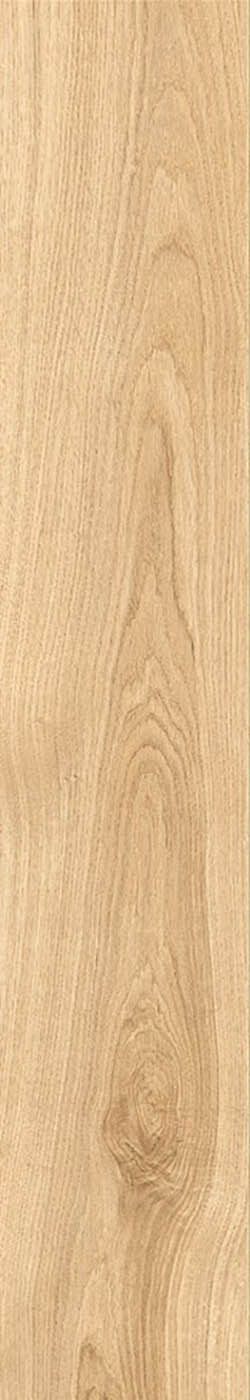 LATINA MIELE tile face 3