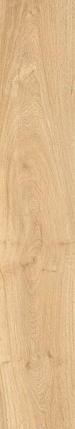 LATINA MIELE tile face 4
