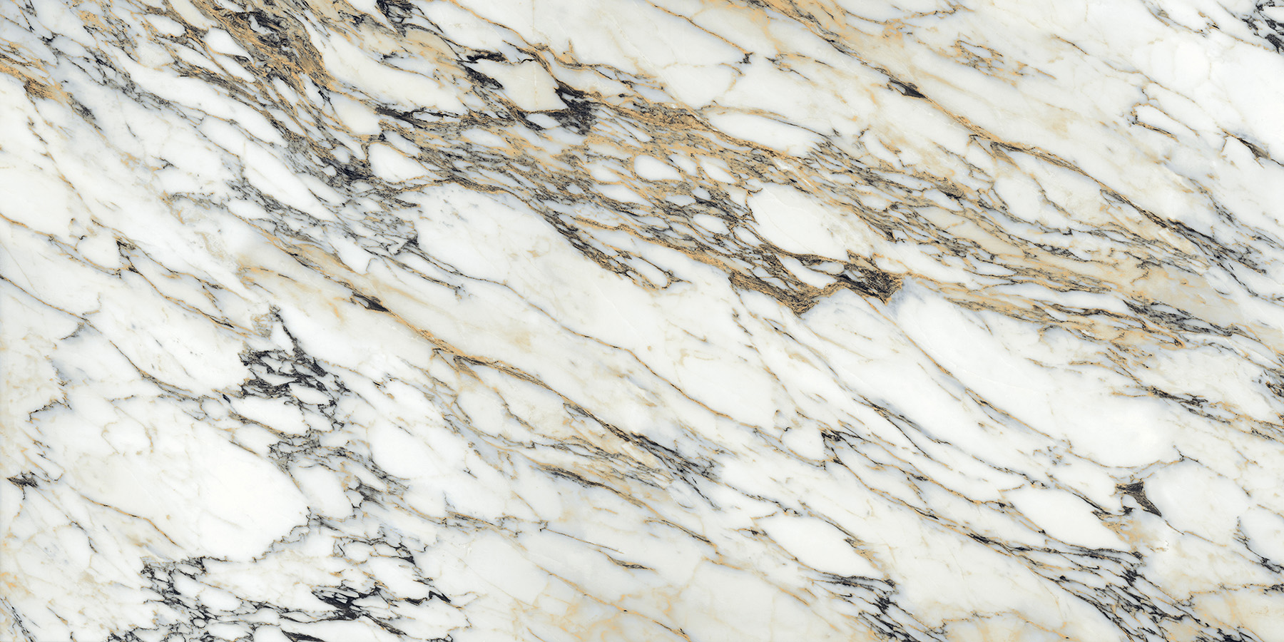 CALCATTA VAGLI preview