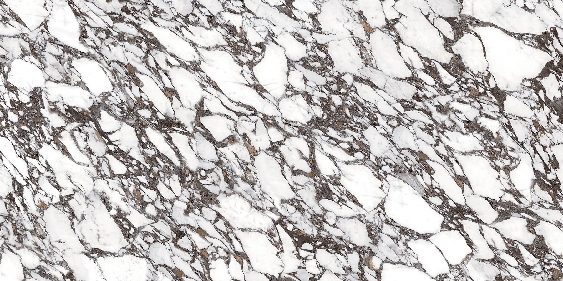 CALCATTA VIOLA preview