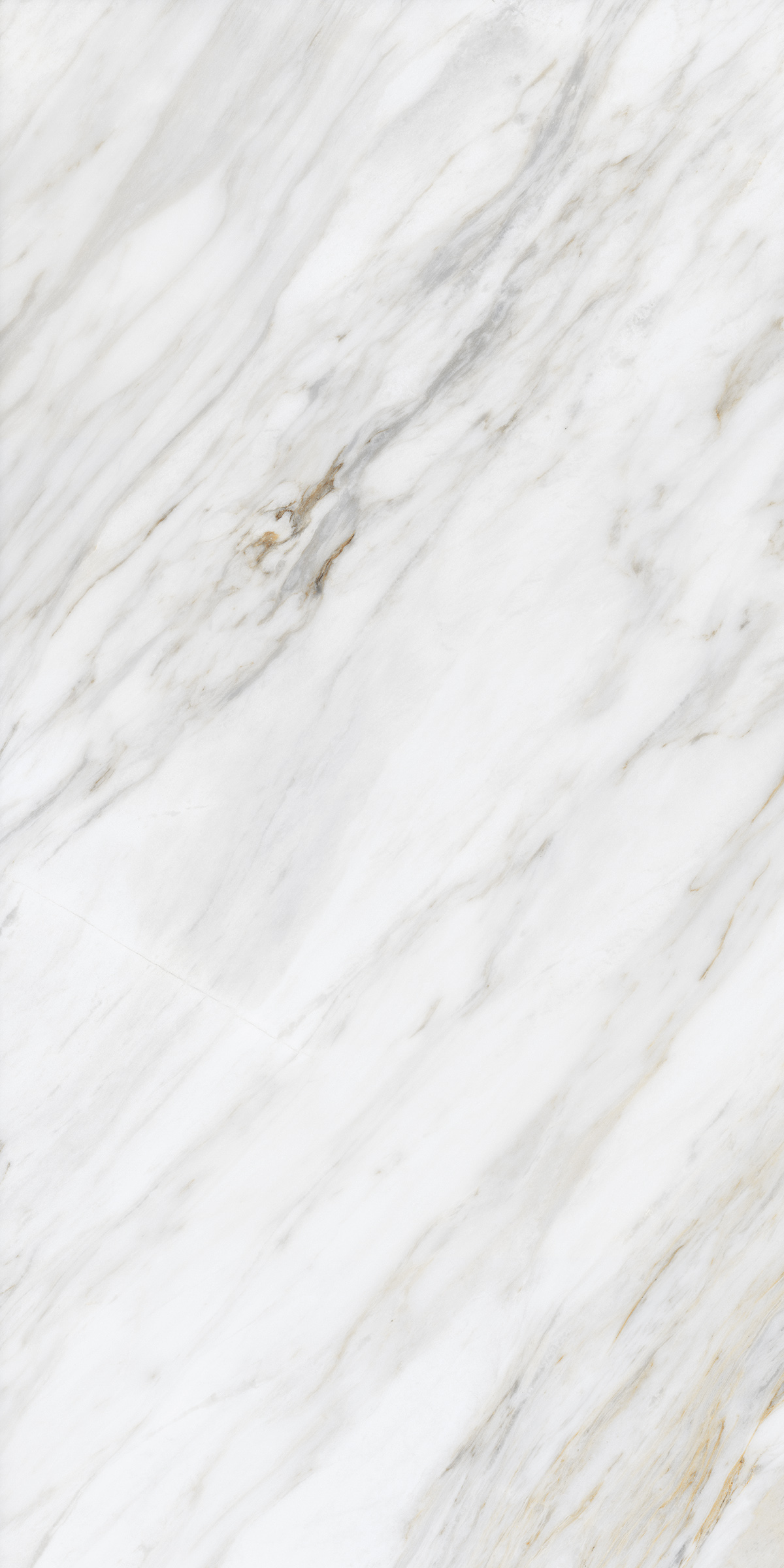CARRARA RENOIR - A preview