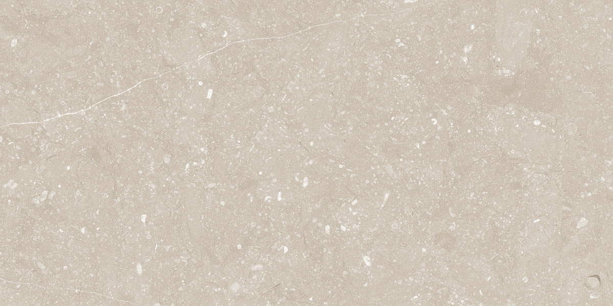 BELGIUM BEIGE tile face 2
