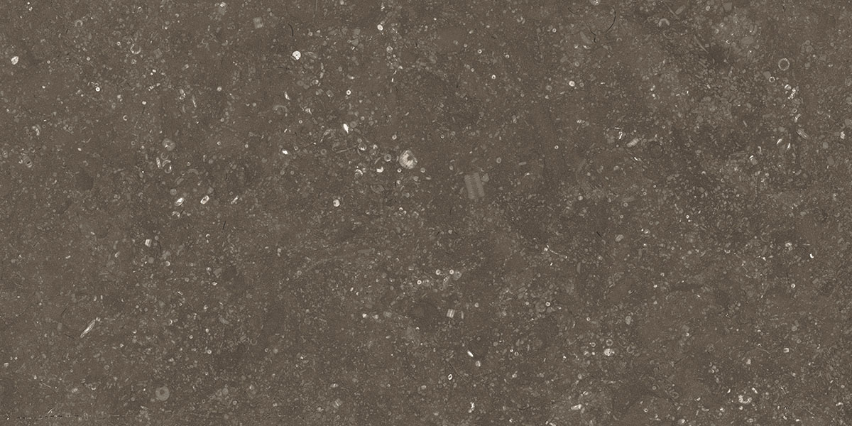 BELGIUM CHOCO tile face 4