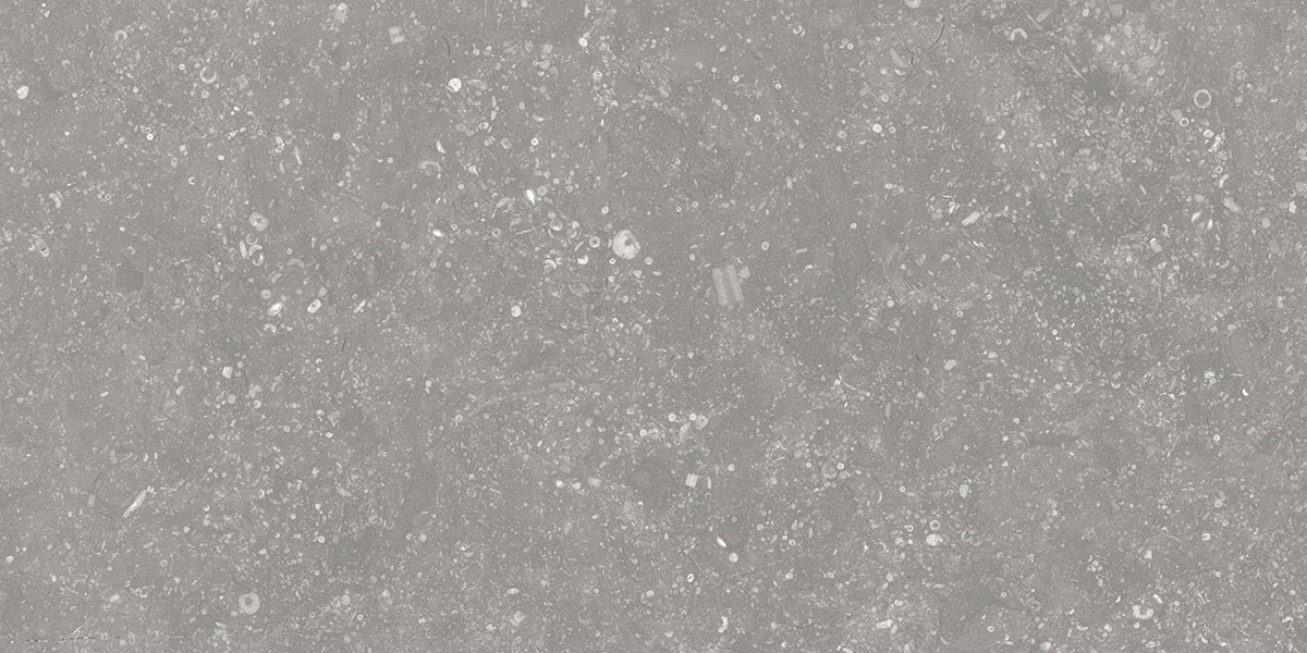 BELGIUM GRIS tile face 4