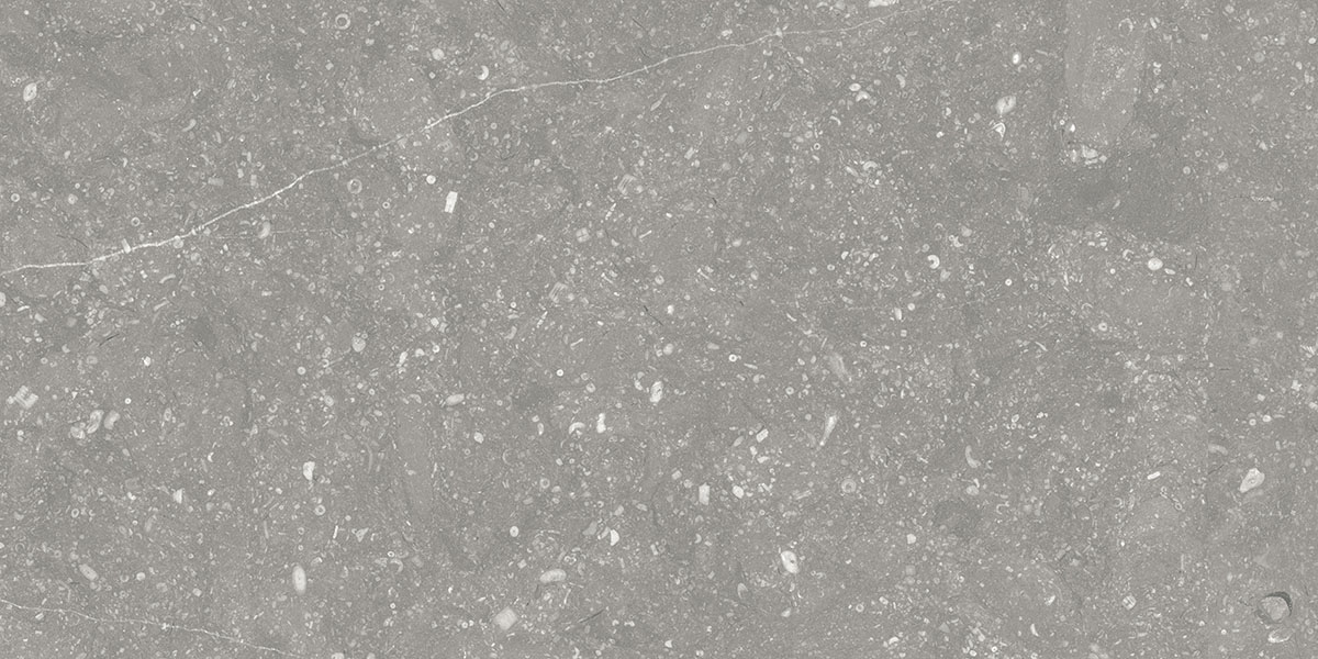 BELGIUM GRIS tile face 2