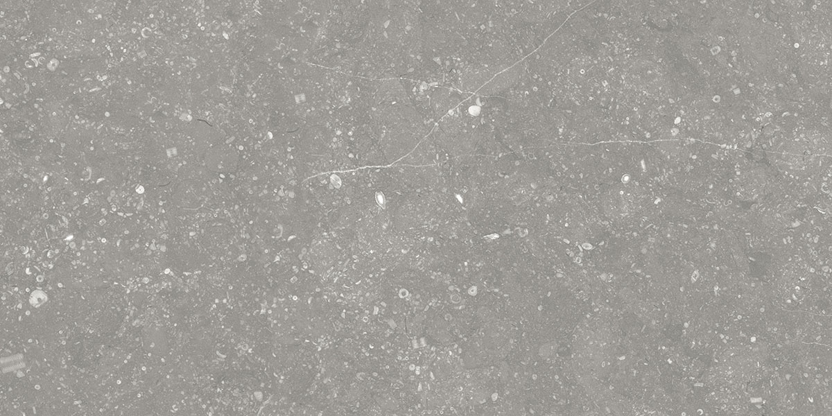 BELGIUM GRIS tile face 3