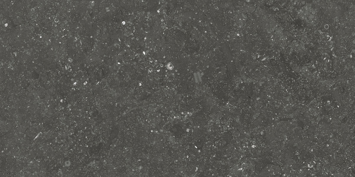 BELGIUM NERO tile face 4