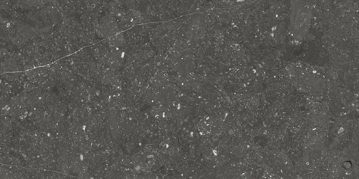 BELGIUM NERO tile face 2
