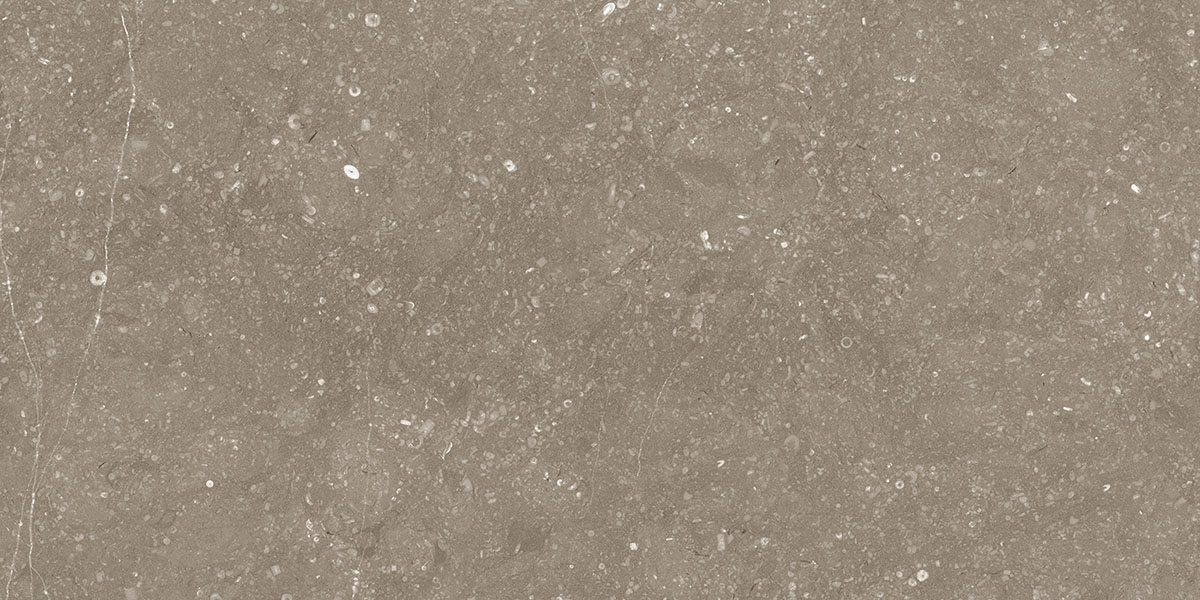 BELGIUM TAUPE preview