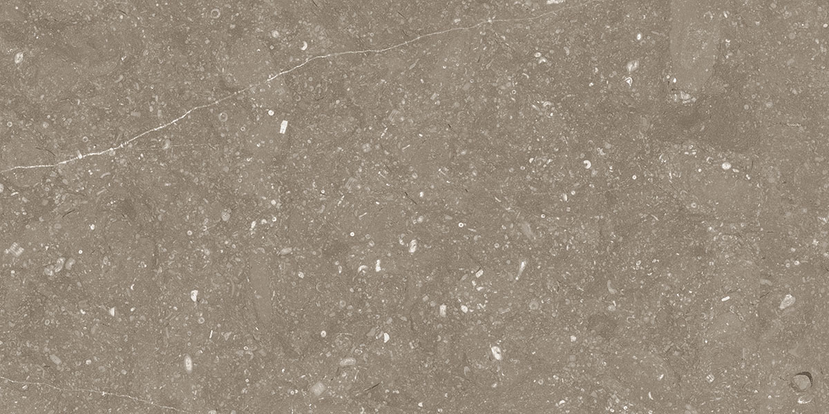 BELGIUM TAUPE tile face 2