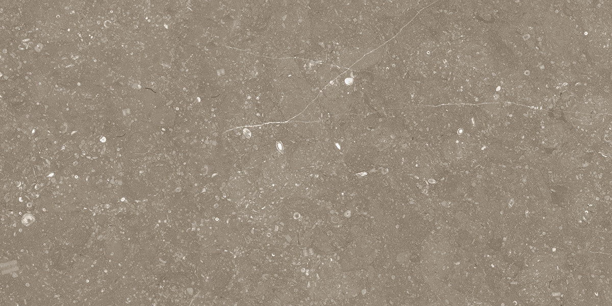 BELGIUM TAUPE tile face 3