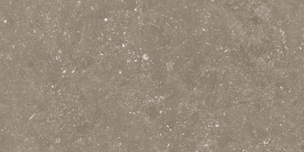 BELGIUM TAUPE tile face 4