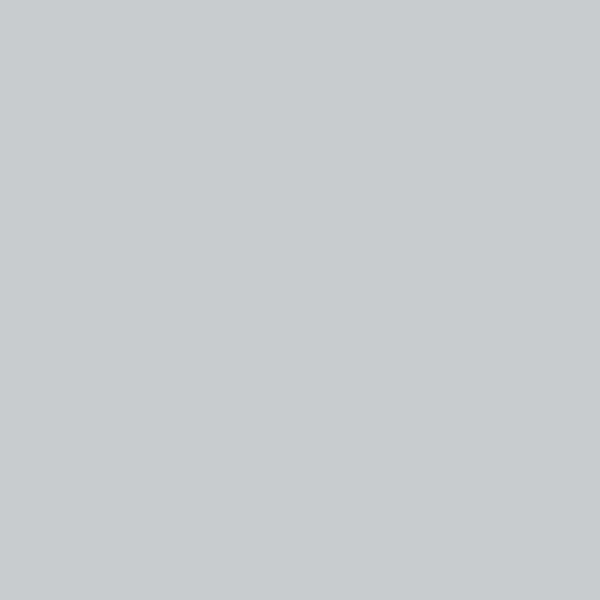 SOLID LIGHT GREY preview